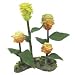 BEEHIVE GINGER PLANT 7"