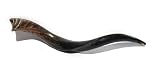 26-28 Medium Yemenite Kudu Horn Polished Shofar, with Free Anti Odor Spray, Made in Israel