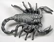 Large Scorpion Pewter Belt Buckle