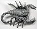 Large Scorpion Pewter Belt Buckle