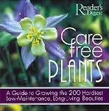 Care Free Plants