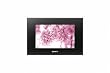 Sony Digital 7-Inch DPF-A72 LCD WQVGA 16:10 Photo Frame (Black)
