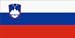Slovenia State National Country Polyester 5' x 3' Flag