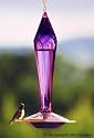 Faceted Hummingbird Feeder - Amethyst