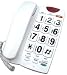 Giant Button Affordable Speaker Phone with Flashing Ringer