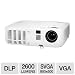 NEC 2600-lumen High-Brightness Mobile Projector (NP- V260 )