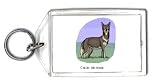 Keychain with africa, jackal, simensis, fox, canis, animal, simien, dog