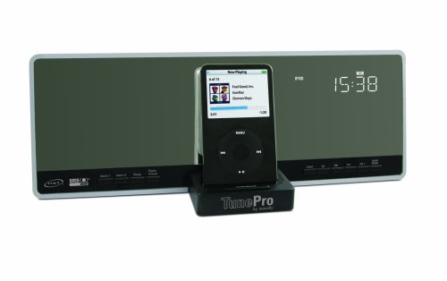 Childrens Toyshop  Electronics : Flatpanel Stereo Speaker With Charger,AM/FM Radio and Alarm Clock for iPod