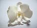 Orchid Flower Ivory White Wedding Pin up Hair Clip