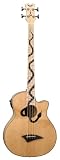 Acoustic Bass Guitars