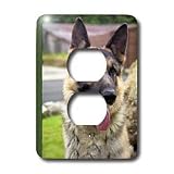 Dogs German Shepherd - German Shepherd Portrait - Light Switch Covers - 2 plug outlet cover