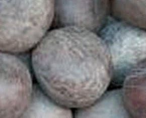 Whole Coconut-Khopra (dry)