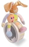Cuddly toy - Baby Bunny in a box