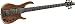 31BzXPU6OTL. SL75  Modulus Quantum Q5 5 String Figured Claro Walnut Electric Bass Guitar, Clear Gloss