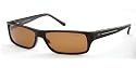 POLICE Designer Sun glasses @ Star Sunglasses-Buy Cheap & Fast 2U!