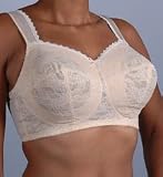 Fancee Free Lace Soft Cup