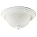 Quorum International 3066-15-66 Textured White / Faux Alabaster Ceiling Mounts Alabaster Stone / Gla