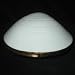 Chamart Limoges Porcelain Hinged White Clam