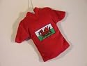 Wales Rugby jersey car air freshener