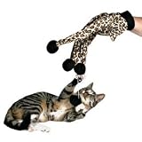 Glove Teaser Cat & Kitten Toy Drive Your Cat Wild