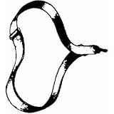 Husqvarna Outdoor 952-701656 Shoulder Strap