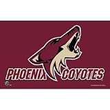3 x 5 Feet Phoenix Coyotes Nylon - indoor NHL Flag Made in US.