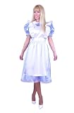 Adult Alice Costume Dress RUNS VERY SMALL - See Details