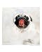 bulldog Animals Giclee Poster Print by tara benet, 8x10