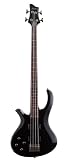 Schecter Riot