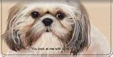 image link - - B0016L9OGI