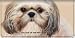 shih tzu - Personal Checkbook Covers: Faithful Friends - Shih Tzu Checkbook Cover