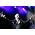 Thumbnail image of Marc Almond