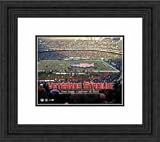 Framed Veterans Stadium Philadelphia Eagle Photograph