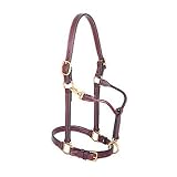 1 Track Leather Halter