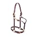 1" Track Leather Halter