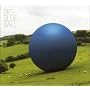 Big Blue Ball
