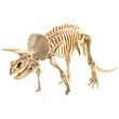 Exploring Triceratops (Archaeological)