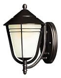 Aurora 1 Light 11 Inch Outdoor Wall Sconce