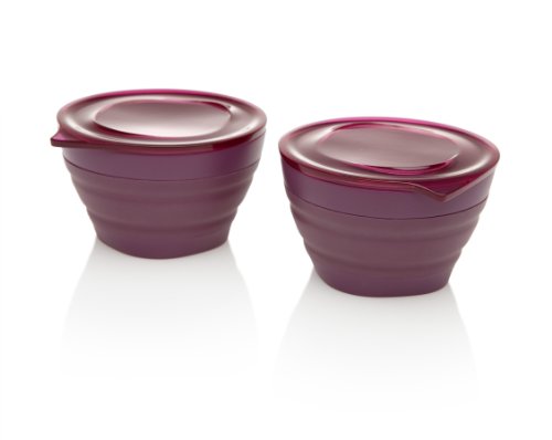 2 Collapsible Mini Bowl Set 4oz
