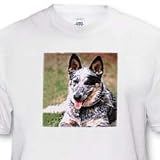 Australian Cattle Dog - White Infant Lap-Shoulder Tee (6M)