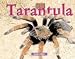 Book Bugs - Tarantula (Bugs)