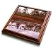 Florene Landscape - Dusk At North Fort Myers - Trivets