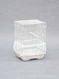 Parrot Birdie Bloomer - Mesh