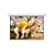 100IN Diagonal Accuscreens HDtv Manual Wall Ceiling 49X87IN