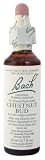 Nelson Bach USA - Chestnut Bud, 20 Millimeter