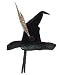 Professor McGonagall Hat