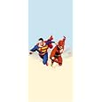 Superman vs. The Flash