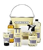 Caldrea Lavender Pine Cleaning Essencial Set