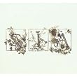 Colour The Small One [Limited Edition Digipak]
