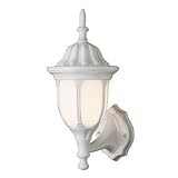 Frosted Glass 1 Light Wall Lantern - White